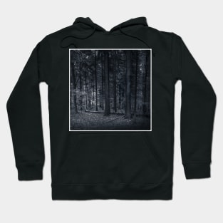 The Woodlands Ulriksdal Hoodie